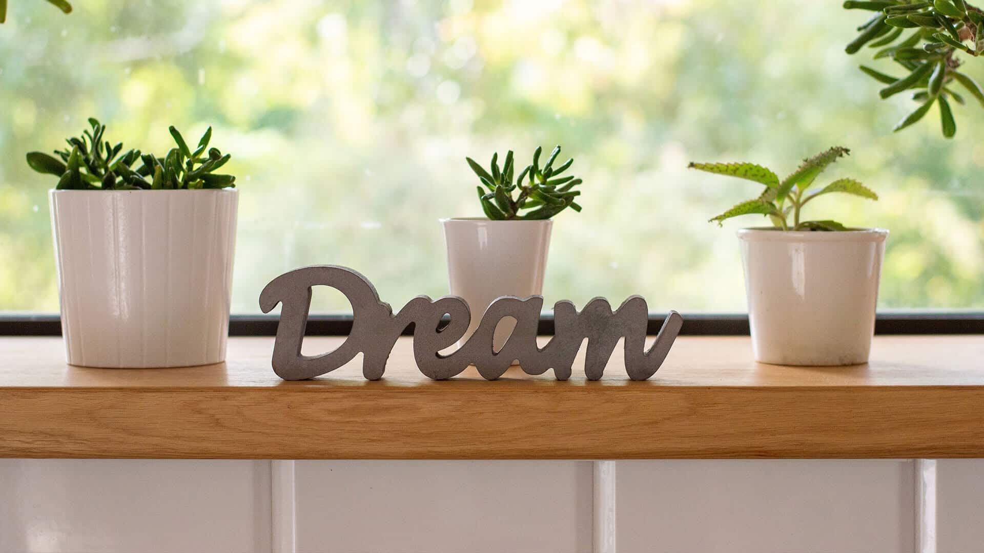 Planten en het woord Dream op een houten plank